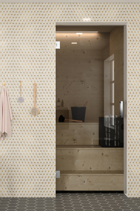 Sauna glass door Classic 661